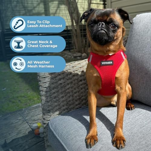 Best Pet Supplies Voyager Step-in Air All Weather Mesh Harness and Reflective Dog 5ft Leash Combo with Neoprene Handle, for Small, Medium and Large Breed Puppies - Red, Medium