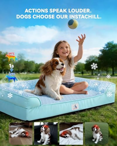 Cooling Dog Bed with PCM, Instant Chill Medium Pet Sofa, Indoor Outdoor