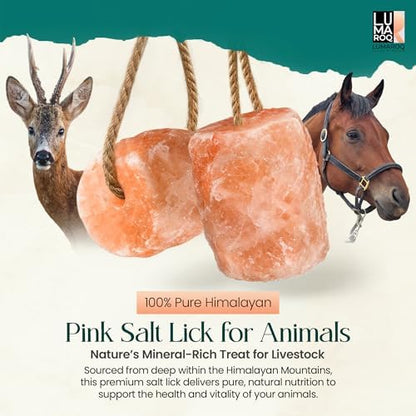 Himalayan Pink Salt Lick On Rope 6lbs for Horses, Deer, Goats & Livestock, Natural Mineral Salt Block with 84 Trace Minerals, Hanging Horse Salt Lick for Farm Animals & Wildlife (Pack of 3)