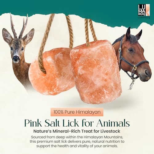 Himalayan Pink Salt Lick On Rope 6lbs for Horses, Deer, Goats & Livestock, Natural Mineral Salt Block with 84 Trace Minerals, Hanging Horse Salt Lick for Farm Animals & Wildlife (Pack of 2)