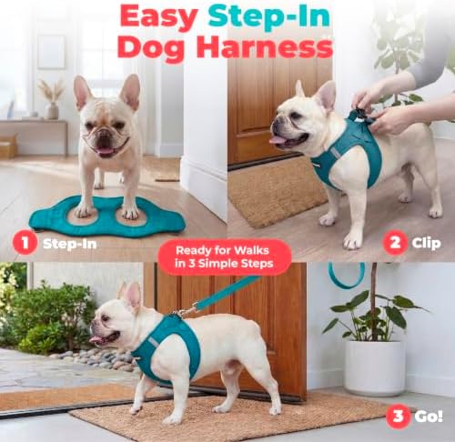 Voyager Step-in Air Dog Vest Harness - Turquoise, Medium