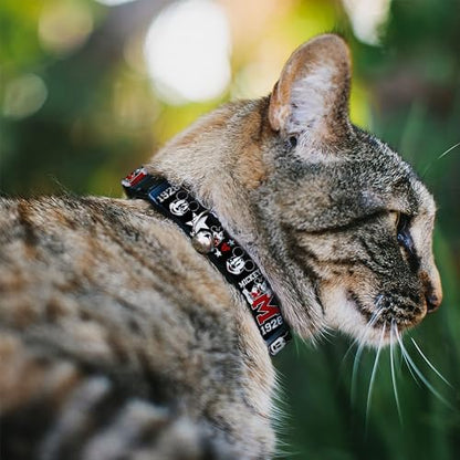 Buckle-Down Breakaway Cat Collar - Classic Mickey Mouse 1928 Collage Black/White/Red - 1/2" Wide - Fits 8-12" Neck - Medium
