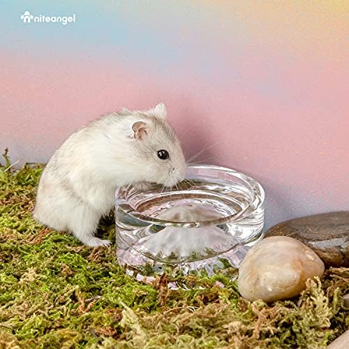 Niteangel Hamster Feeding & Water Bowl- 50ml Capacity & No Wet Fur for Pet