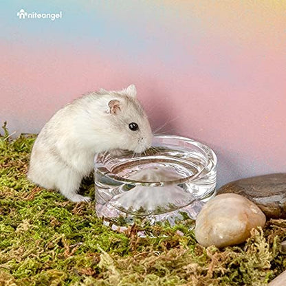 Niteangel Hamster Feeding & Water Bowl- 50ml Capacity & No Wet Fur for Pet
