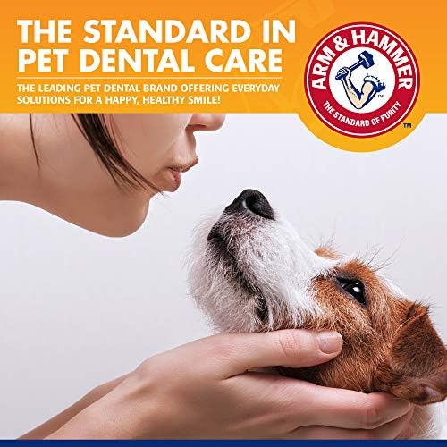 Arm & Hammer Tartar Control Dog Dental Kit, Banana Mint, 3-Piece