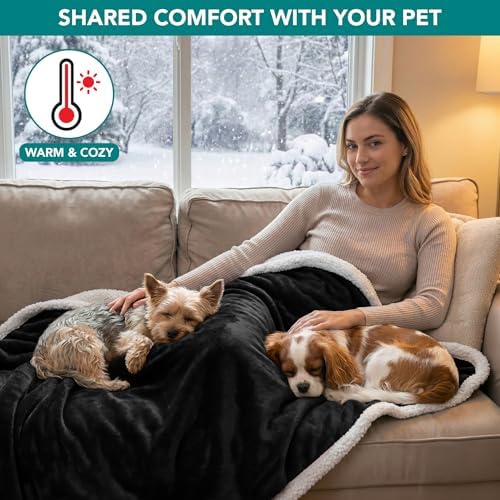 PetAmi Waterproof Dog Blanket for Medium Large Dog Pet, 60x40, Black
