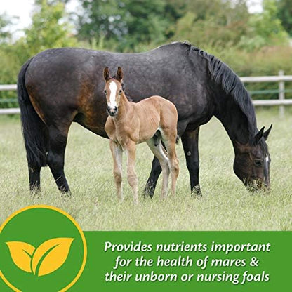 Farnam Mare Plus Gestation & Lactation Supplement 7.5 pounds, 60 Day Supply (Pack of 2)