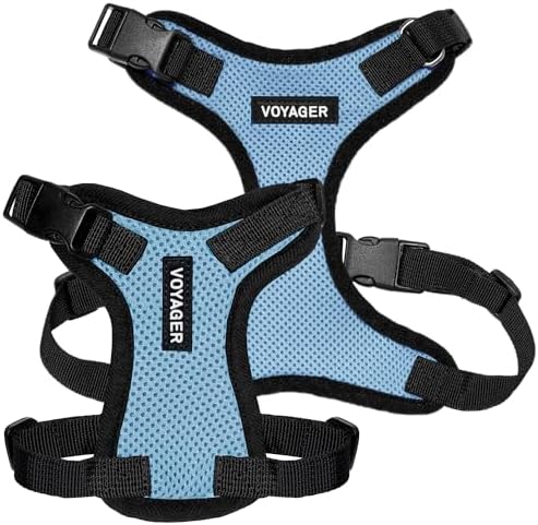 Voyager Step-in Lock Dog Harness - Baby Blue/Black Trim, X-Large