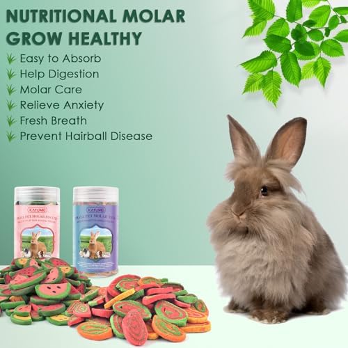 KATUMO Rabbit Chew Treats - 2PCS Mixed Natural Timothy Hay Pumpkin Carrot Beet Spinach Chew Toys for Rabbit Guinea Pig Hamster Bunny Chinchilla Gerbil Small Rodent Pets