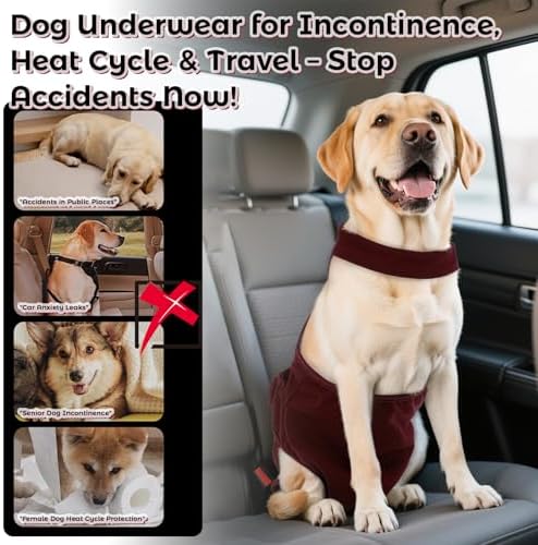 QBLEEV Female Dog Diapers with Adjustable Suspenders – Washable Sanitary Panties for Dogs in Heat or Incontinence, Escape-Proof Reusable Pet Period Underwear Onesie for Small to Large Breeds