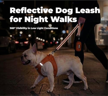 Best Pet Supplies Voyager Nylon Dog Leash - Orange, Medium