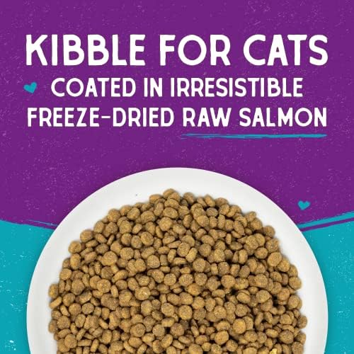 Stella & Chewy's Raw Coated Cat Food - High Protein, Grain-Free Kibble with Wild-Caught Salmon - Premium Digestive Support with Probiotics - Natural Small Kibble - Perfect for Picky Eaters - 5 lb Bag
