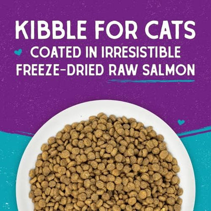 Stella & Chewy's Raw Coated Cat Food - High Protein, Grain-Free Kibble with Wild-Caught Salmon - Premium Digestive Support with Probiotics - Natural Small Kibble - Perfect for Picky Eaters - 5 lb Bag