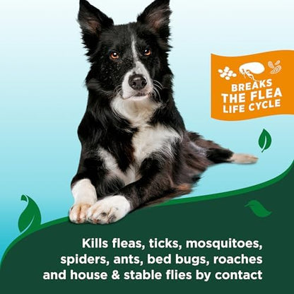 Vet's Best Flea & Tick Shampoo for Dogs, Cotton Spice, 12 oz