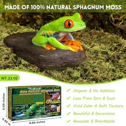 Riare 1.3lb Natural Sphagnum Moss for Reptiles, Terrarium Substrate Bedding