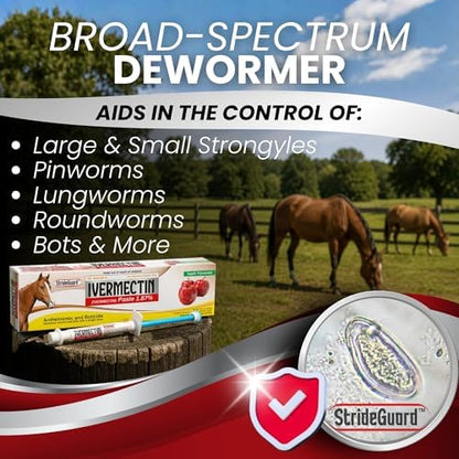 Horse Ivermectin Paste 1.87% – Apple Flavored Oral Horse Dewormer Syringe – 6.08g Tube Treats Horses Up to 1250 LB [Pack-24]