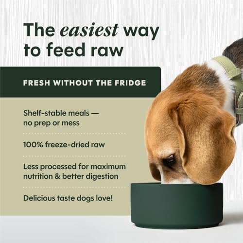 Instinct Freeze Dried Meals, Natural Dog Food, Grass-Fed Beef, 14 oz. Bag