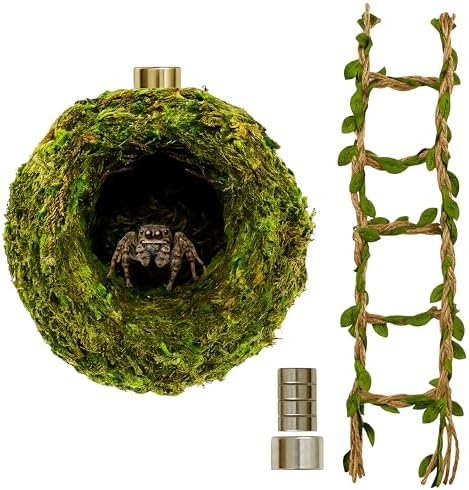 Jumping Spider Accessories - Moss Hideout with Hemp Rope Bridge
