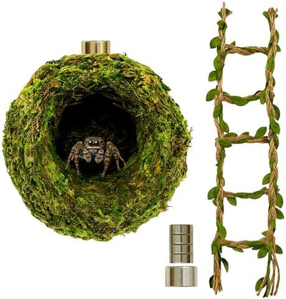 Jumping Spider Accessories - Moss Hideout with Hemp Rope Bridge
