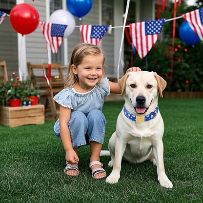 4th of July Dog Collar, Blue Flag Popsicle Patriotic Pet Collar with Metal Buckle, Adjustable Summer Holiday Dog Collars for Small Medium Large Dogs XL