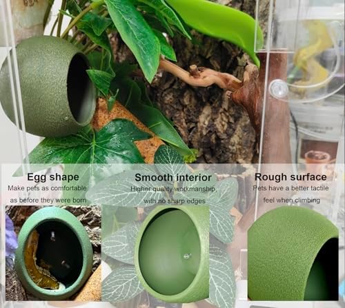 Woyrise Reptile Hide Cave Plastic Egg Shape Hideout, Gecko Hide with Strong Suction Cups Climbing Toys Reptile Shelter Sleeping Cave for Arboreal Reptiles, Frogs, Spiders Terrarium Decor - Green
