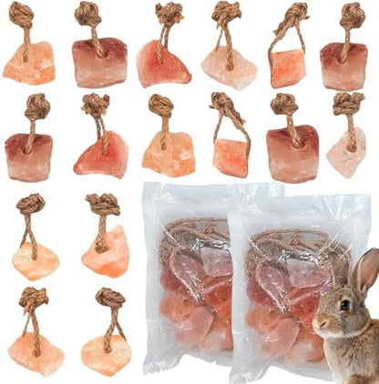 Hamiledyi 16 PCS Rabbit Salt Lick Block Natural Small Animal Himalayan Salt Lick Chew Toys with Hanging Rope Rat Mineral Block Chew Treat Supplies for Bunny Guinea Pig Chinchilla Ferret Hametsr