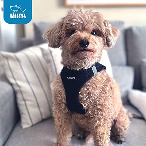 Voyager Step-in Air Dog Harness w/Leash - All Weather Mesh Step in Vest Harness for Small and Medium Dogs by Best Pet Supplies - Black, M (Pack of 2)