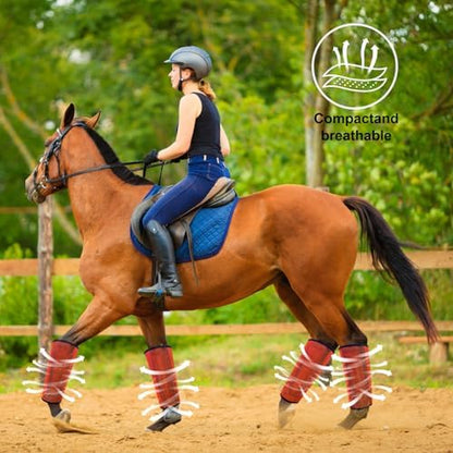 Horse Fly Boots, Breathable Mesh Protection Set of 4, Comfortable Horse Leggings, Breathable Mesh Design, Equine Supplies for Reduce Stomping, Hoof Damage & Leg Fatigue (Orange, Large)