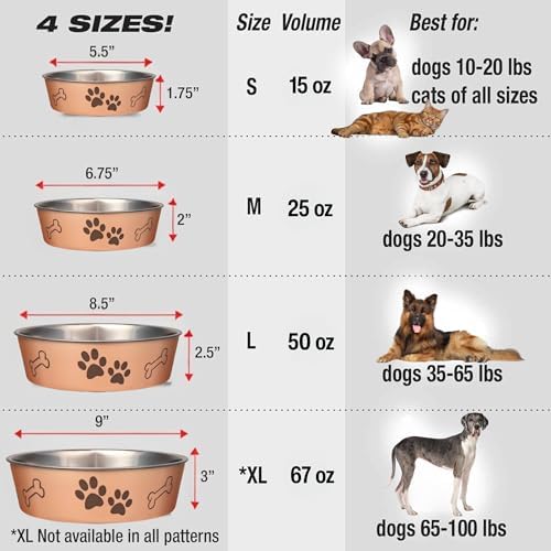 Loving Pets Bella Dog Bowls- Stainless Steel Dog & Cat Bowls - Spill Proof Dog Food Bowl, Cat Bowl, Puppy Essentials & Pet Supplies Great for Home & Travel (Large 35-65 lbs, Champagne)