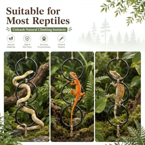 Layhit 5 Pcs Snake Climbing Branch Ring Reptile Wood Trunk Tank Decor Reptile Climbing Habitat Accessory for Terrarium Tree Trunk Ornament Gecko Frog Chameleon Spider