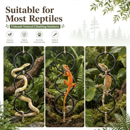 Layhit 5 Pcs Snake Climbing Branch Ring Reptile Wood Trunk Tank Decor Reptile Climbing Habitat Accessory for Terrarium Tree Trunk Ornament Gecko Frog Chameleon Spider