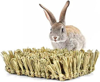 Hamiledyi Rabbit Grass Bed Bunny Natural Woven Foraging Mat Guinea Pig Hay Mat Enrichment Toy Scratch Pad for Chinchilla Squirrel Hedgehog(10.6x7.5x3.5inches)