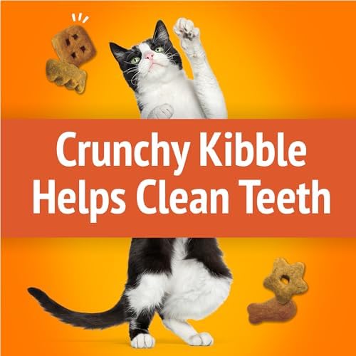 Friskies Purina Party Mix Original Crunch Cat Treats, 20 oz Pouch