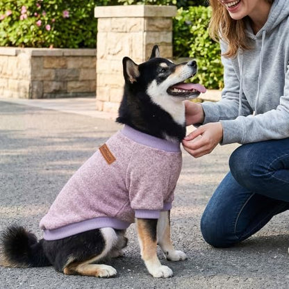 2 Pack Dog Sweaters for Small Dogs Girl Boy Winter Fleece Clothes Warm Soft Dog Sweatshirt Outfit for Dogs Cats Pet Apparel (Blue Purple+ Sweet Purple, L (Back: 15.7",Chest: 19.6",14-18Ibs))
