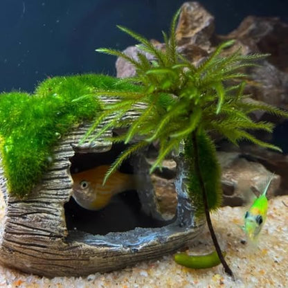 Aquarium Broken Barrel Fish Hide Caves - Cute Cichlids, Guppy, Small Fish, Betta, Shrimp Shelter, Fish Tank Shipwreck Themed Hut For Small Medium Fish Tank Breed Spawn