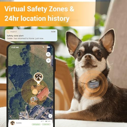 Pawfit Lite 4G GPS Dog Tracker, Live Tracking, Ultra-Light, Onyx Black