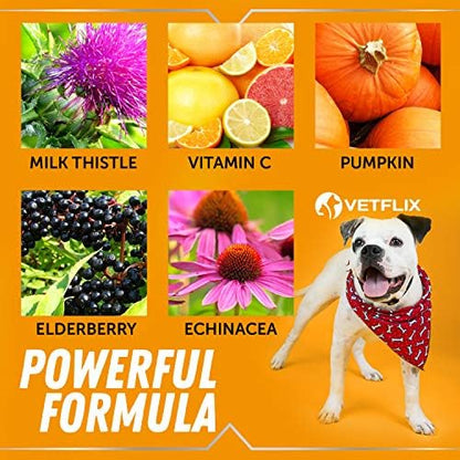 Allergy and Immune Liquid for Dogs, Cats, Puppies and Kittens, 2 Fl Oz