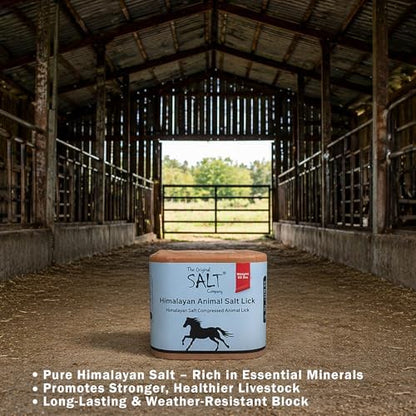 Himalayan Animal Salt Block 22 lb – Natural Mineral Salt Lick for Horses & Cattle – Large Compressed Pink Himalayan Block for Pasture & Herd Use (Non-Fortified)