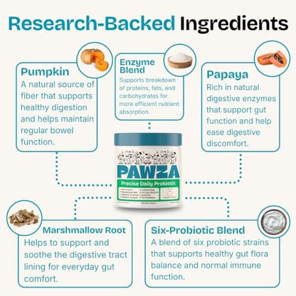 Precise Daily Probiotic for Dogs – Soft Chews with Pumpkin, Papaya & 6-Strain Probiotic Blend – Digestive, Gut & Immune Health Support – 120 Chews, Chicken Flavor