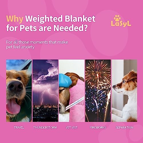 LaSyL Weighted Blanket for Pets | Thunder Blanket for Dogs Anxiety | Premium Soft Minky | Relaxation & Calming & Anti Anxiety | Used in Car, Bed, Couch | Pink, Washable Large (40"x47")