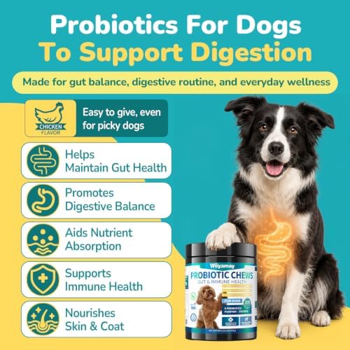 Woyamay Probiotics for Dogs, Dog Probiotics Chews, Gut & Digestive Support