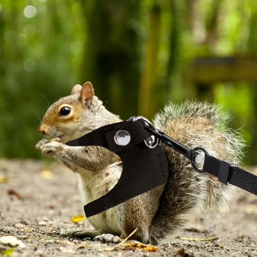 3 Pack Bearded Dragon Harness and Leash, Adjustable Bearded Dragon Leash and Harness Set with Traction Rope Bearded Dragons Clothes for Lizards and Other Small Reptiles (3 Sizes)