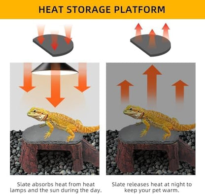 Bearded Dragon Basking Platform,Reptile Hide Cave with Basking Rock