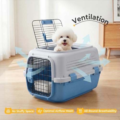 NEWBULIG 23" Hard-Sided Dog Carrier for Small Dogs & Cats, Grey & Blue