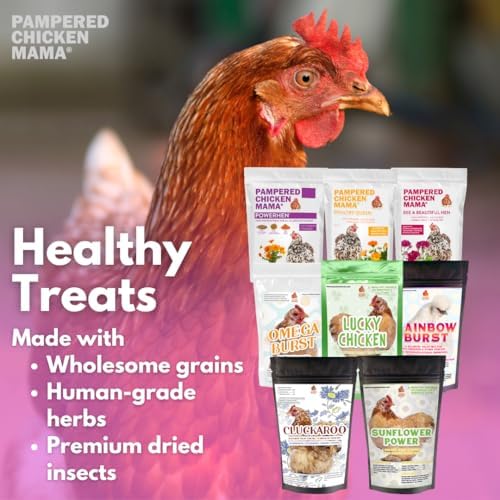 Pampered Chicken Mama Chicken Treat for Hens 8 Pounds Sampler Bundle: 8 Different Treats in One Box! - Grubs, Dried Mealworms, Cracked Corn, Oyster Shell, & Duck Feed