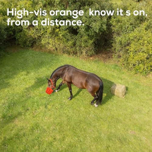 Durable Ventilated Grazing Muzzle with Attached Breakaway Halter - Lightweight Horse Muzzle, Supports Natural Grazing, Restricts Food Intake, Padded Noseband