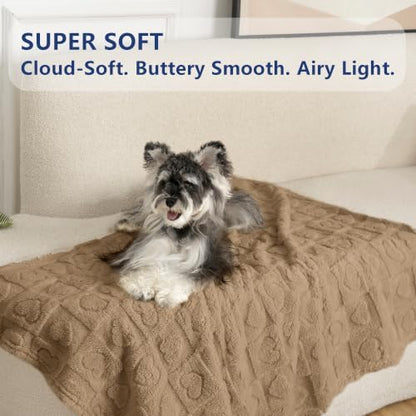 gogobunny Pet Blanket for Dogs Cats, 300GSM Ultra Soft Coral Fleece Blanket, Washable Small Dog Cat Blanket, Calming Crate Mat, Furniture Protector for Couch Bed Car Seat, Brown, 30x40IN