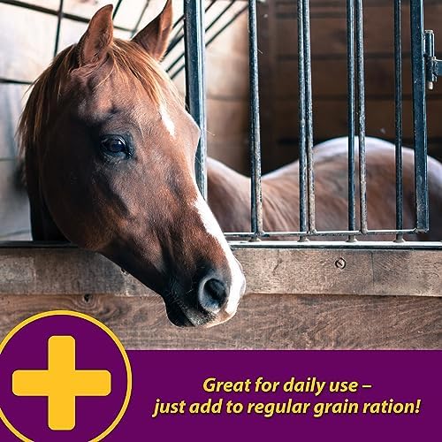 Farnam Horse Health Apple-Dex Apple Flavored Electrolytes Powder for Horses, 5 pound