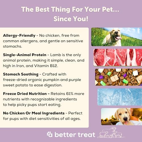 A Better Treat | Allergy Friendly Lamb Dry Dog Food | Raw You Can See | No Chicken, Lamb Only Animal Protein, No Meal Ingredients, Grain Free | Stomach Soothing Kibble + Freeze Dried Raw Dog Food