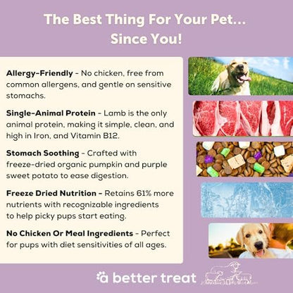 A Better Treat | Allergy Friendly Lamb Dry Dog Food | Raw You Can See | No Chicken, Lamb Only Animal Protein, No Meal Ingredients, Grain Free | Stomach Soothing Kibble + Freeze Dried Raw Dog Food